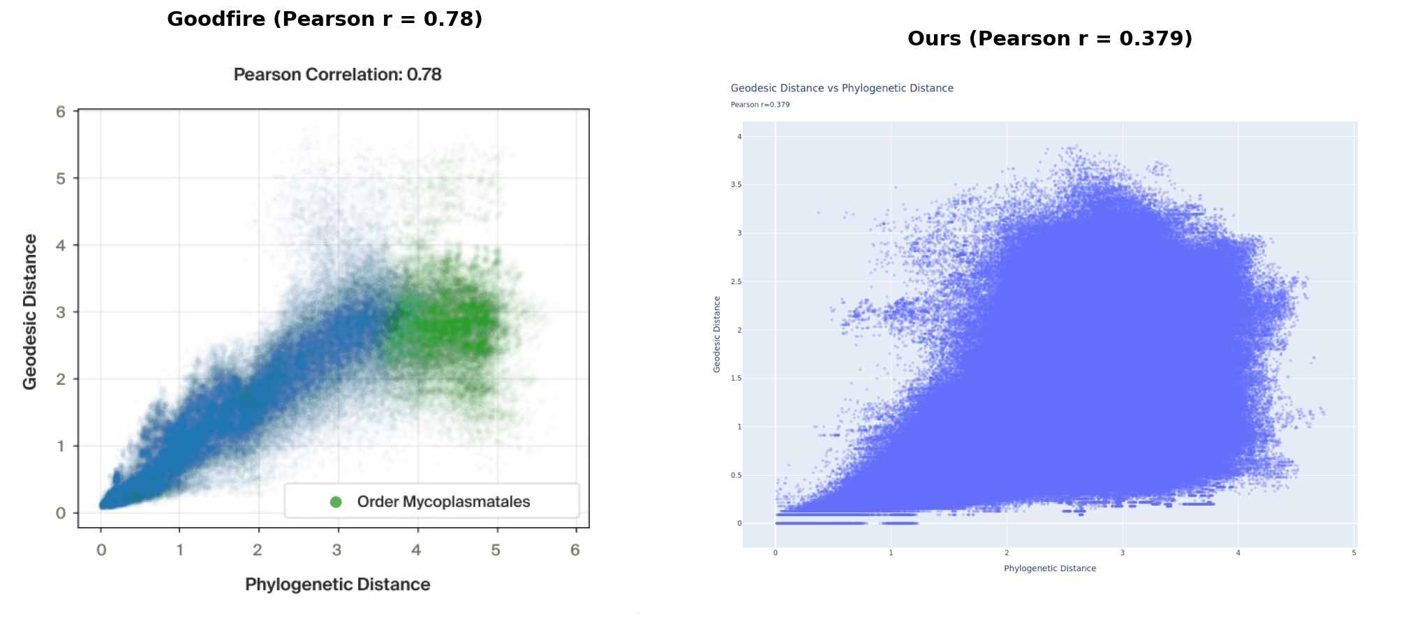 Geodesic distance vs phylogenetic distance - Goodfire (left, © Goodfire AI) vs ours (right)